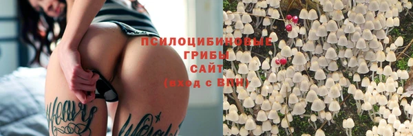 трава Алзамай