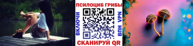 Галлюциногенные грибы Cubensis  закладка  Пошехонье 
